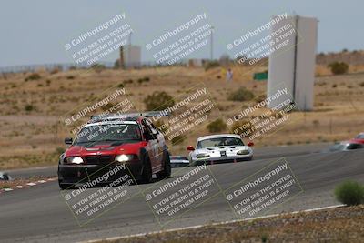 media/May-03-2025-Lucky Dog Racing (Sat) [[206de64b9d]]/Turn 6 (150pm-230pm)/